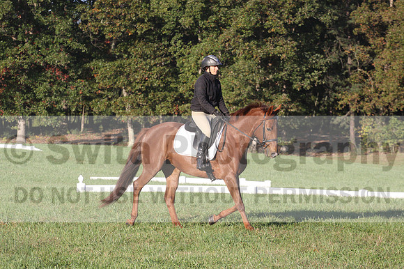 Jenny Rosner on Abbey Moon, Training Horse Trials