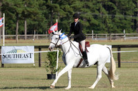 000.Derby Awards & Victory Gallop