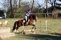 Molli Heisler on Rebel, Green Horse Trials Junior