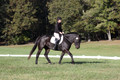 Melissa Kenny on F.O. Calculated Risk, Novice Horse Trials Senior B
