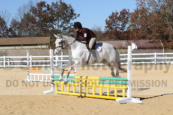Shannon Bower on Bastille, Beginner Novice Combined Test