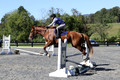 Amy Parsons on Wren Wrouge, Beginner Novice Senior HT B