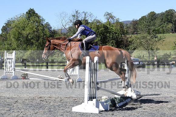 Amy Parsons on Wren Wrouge, Beginner Novice Senior HT B