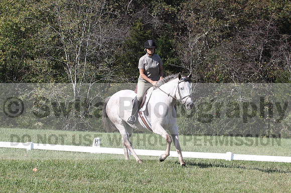 Carolyn Rutledge on Izzy, Advanced Green Horse Trials A