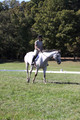 Carolyn Rutledge on Izzy, Advanced Green Horse Trials A