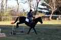 Trina Gomez on Anubis, Green Horse Trials Senior
