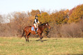 Caroline Morel on Lizzie, Green Horse Trials Junior