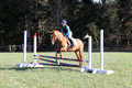 Clay Cooke on Clifford Dun It Again, Advanced Green Horse Trials B