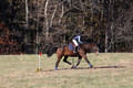 Wyatt Wilkerson on Troublemaker, Beginner Novice Horse Trials Junior A