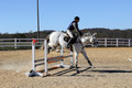 Jennifer Cobb on Snowbird, Beginner Novice Horse Trials Senior A