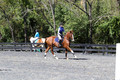 Amy Parsons on Wren Wrouge, Beginner Novice Senior HT B