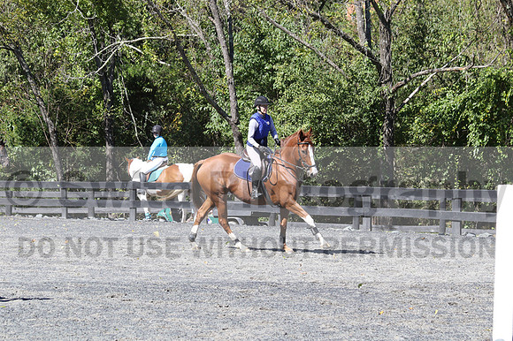 Amy Parsons on Wren Wrouge, Beginner Novice Senior HT B