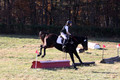 Dorothy Lower on The Wizard Of Oz, Advanced Green Horse Trials Junior A