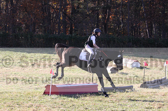 Dorothy Lower on The Wizard Of Oz, Advanced Green Horse Trials Junior A