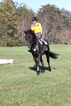 Madlen Lesesne on SBF Figaro, Advanced Green Horse Trials B