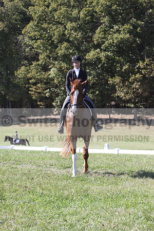 Amy Parsons on Wren Wrouge, Advanced Green Horse Trials A