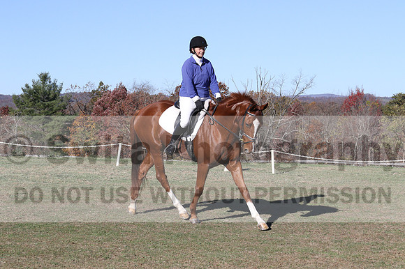 Suzy Gehris on Steddy Eddy, Beginner Novice Horse Trials Senior C