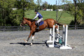 Amy Parsons on Wren Wrouge, Beginner Novice Senior HT B