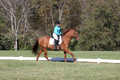 Clay Cooke on Clifford Dun It Again, Advanced Green Horse Trials B