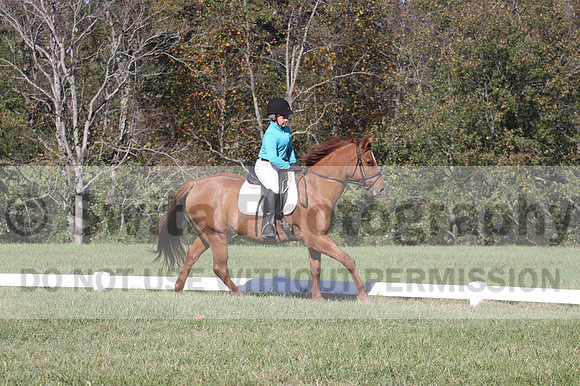 Clay Cooke on Clifford Dun It Again, Advanced Green Horse Trials B