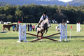 Elizabeth Brown on BallyGrace Encore, Green Horse Trials