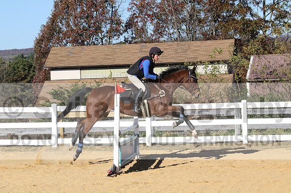 Francesca Toms on Top Secret, Novice Horse Trials Junior