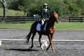 Jenny Rosner on Curious, Advanced Green HT Senior