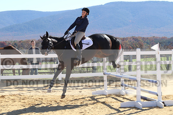 Lauren Seitz on Lyra, Beginner Novice Combined Test