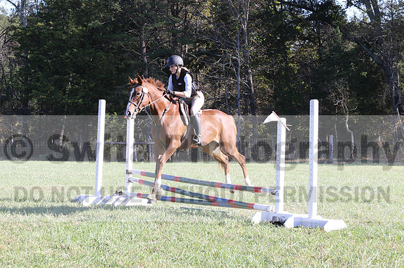 Haley Morrissey on Picturesque Serenade, Advanced Green Horse Trials A