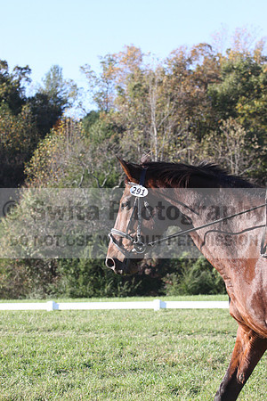 Kelly Linn on Hanover, Green Horse Trials