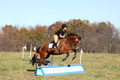 Abby Loving on Royal Filigree, Advanced Green Horse Trials Senior A