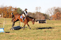 Caroline Morel on Lizzie, Green Horse Trials Junior