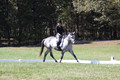 Michele Gnozzio on Dazzling, Beginner Novice Horse Trials Senior C