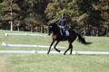 Brooke Bayley on Unbroken, Beginner Novice Horse Trials Senior A