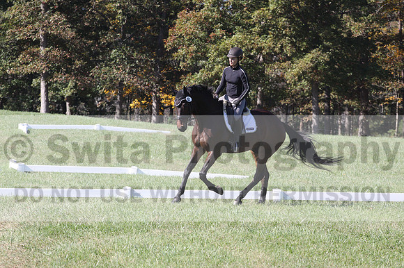 Brooke Bayley on Unbroken, Beginner Novice Horse Trials Senior A