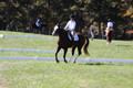 Pia Zuffoletti on Rio, Beginner Novice Horse Trials Junior A