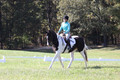 Kaitlyn Schmidt on Dandy, Advanced Green Horse Trials A