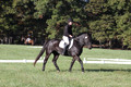 Melissa Kenny on F.O. Calculated Risk, Novice Horse Trials Senior B