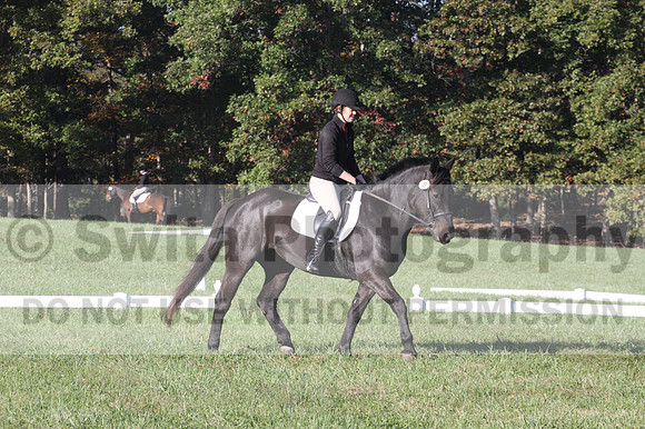 Melissa Kenny on F.O. Calculated Risk, Novice Horse Trials Senior B