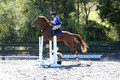Amy Parsons on Wren Wrouge, Beginner Novice Senior HT B