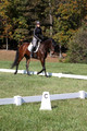 Brooke Bayley on Unbroken, Beginner Novice Horse Trials Senior A