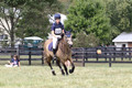 Lulu Malinoski on Valencia Dralium