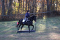 Trina Gomez on Anubis, Green Horse Trials Senior