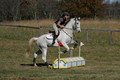 Tori Nuckols on Grey Dragon, Beginner Novice Horse Trials Senior A
