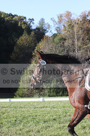 Kelly Linn on Hanover, Green Horse Trials