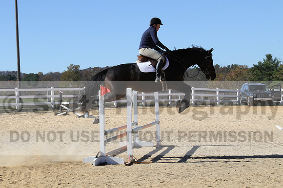 Lauren Seitz on Lyra, Beginner Novice Combined Test