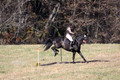 Amy Kryder on Rhianna, Beginner Novice Horse Trials Senior C