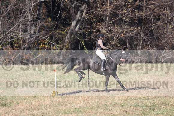 Amy Kryder on Rhianna, Beginner Novice Horse Trials Senior C