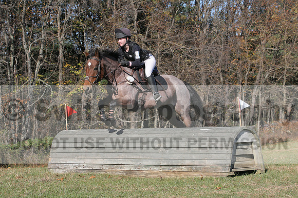 Alex Holliday on Partly Cloudy, Novice Horse Trials Junior
