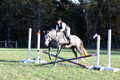 Elizabeth Brown on BallyGrace Encore, Green Horse Trials